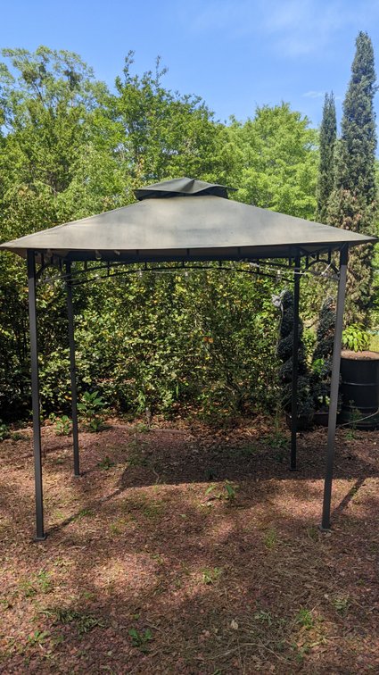 Two person canopy