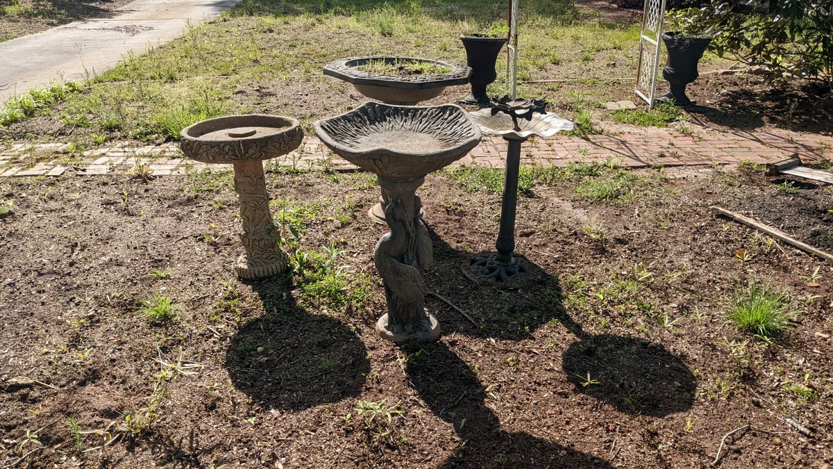 Four Bird Baths