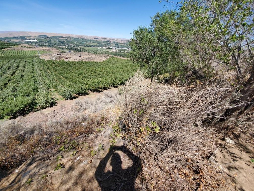 Image for #277: 2.04± Acres at 801 Young Grade Rd., Yakima WA 98908