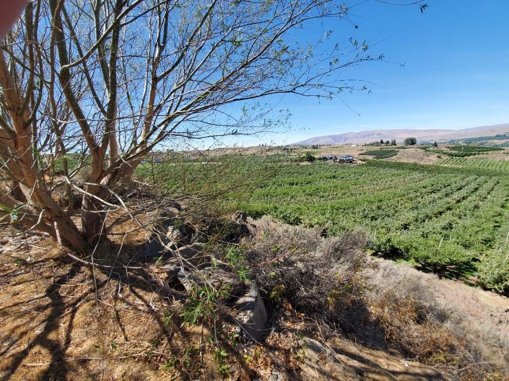 Image for #277: 2.04± Acres at 801 Young Grade Rd., Yakima WA 98908