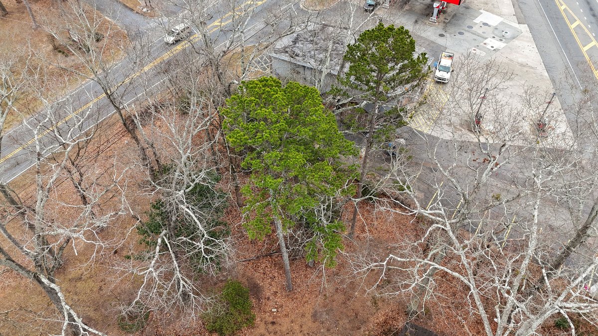 Image for Canton, GA: 1.4± Acre Medical/ Retail Site at 3174 Marietta Highway, Canton, GA (Cherokee County)