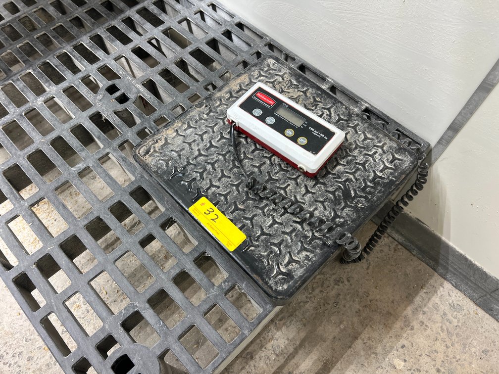 RUBBERMAID Scale and (3) Dunnage Racks