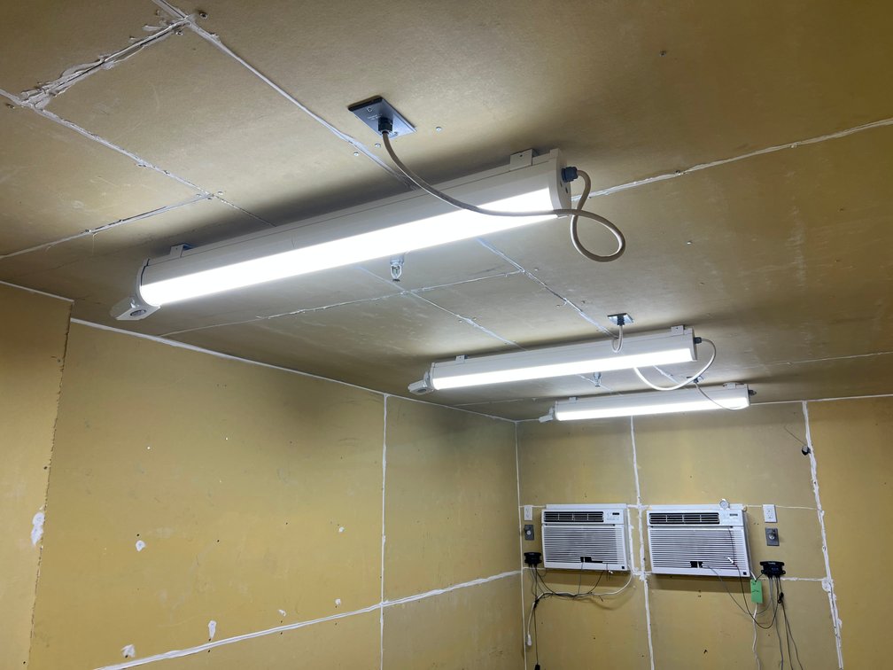 (3) Light Fixtures in Walk-in