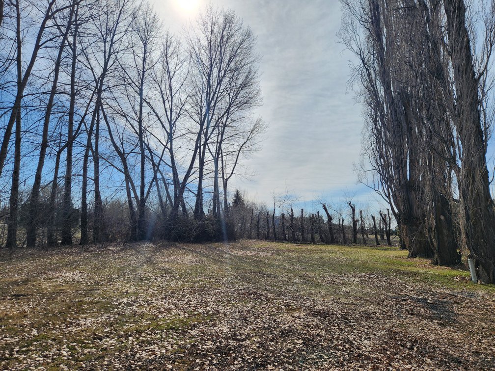 Image for 8831 & 8851 Naches Heights Rd., Cowiche, WA 98923 (Yakima County)
