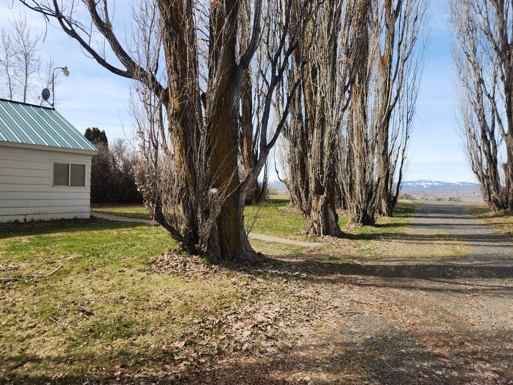 Image for 8831 & 8851 Naches Heights Rd., Cowiche, WA 98923 (Yakima County)
