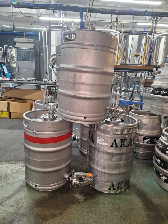(3) Assorted 1/2 Barrel Stainless Yeast Brinks