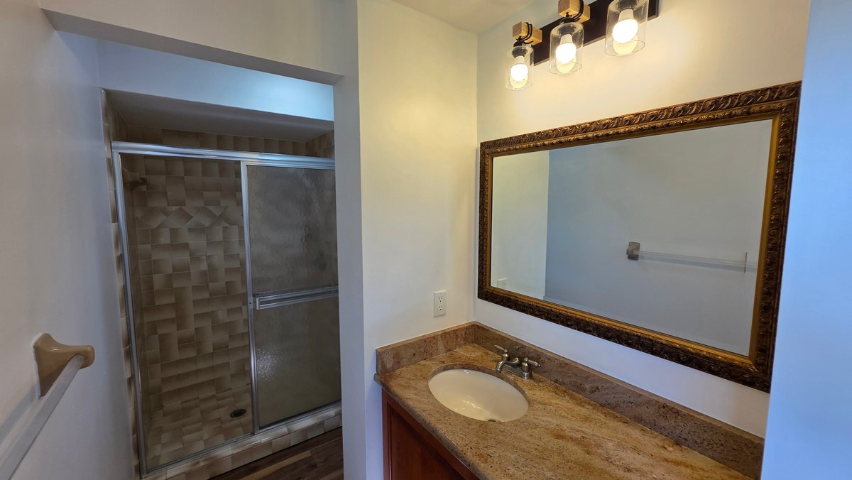 Image for 2890 ARMADILLO DR, PALM HARBOR, FL 34683