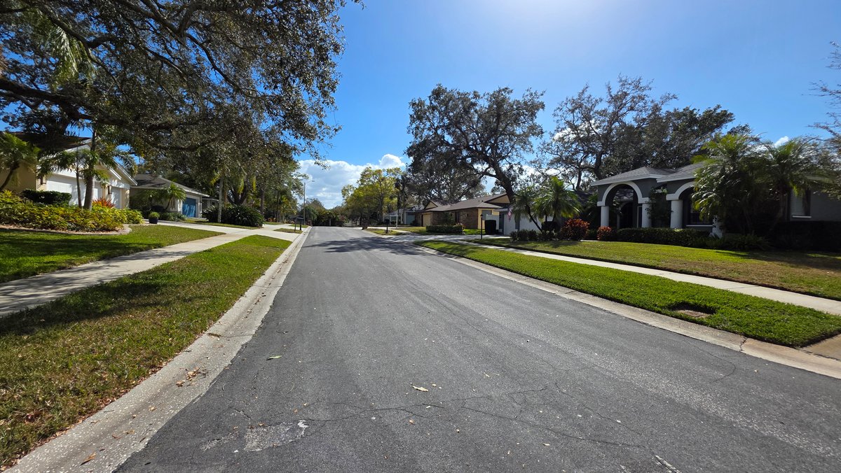 Image for 2890 ARMADILLO DR, PALM HARBOR, FL 34683
