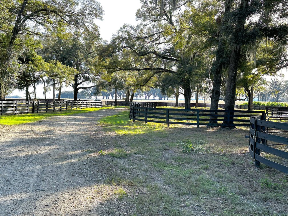 Image for 9451 SW 34th PL. Ocala 34481