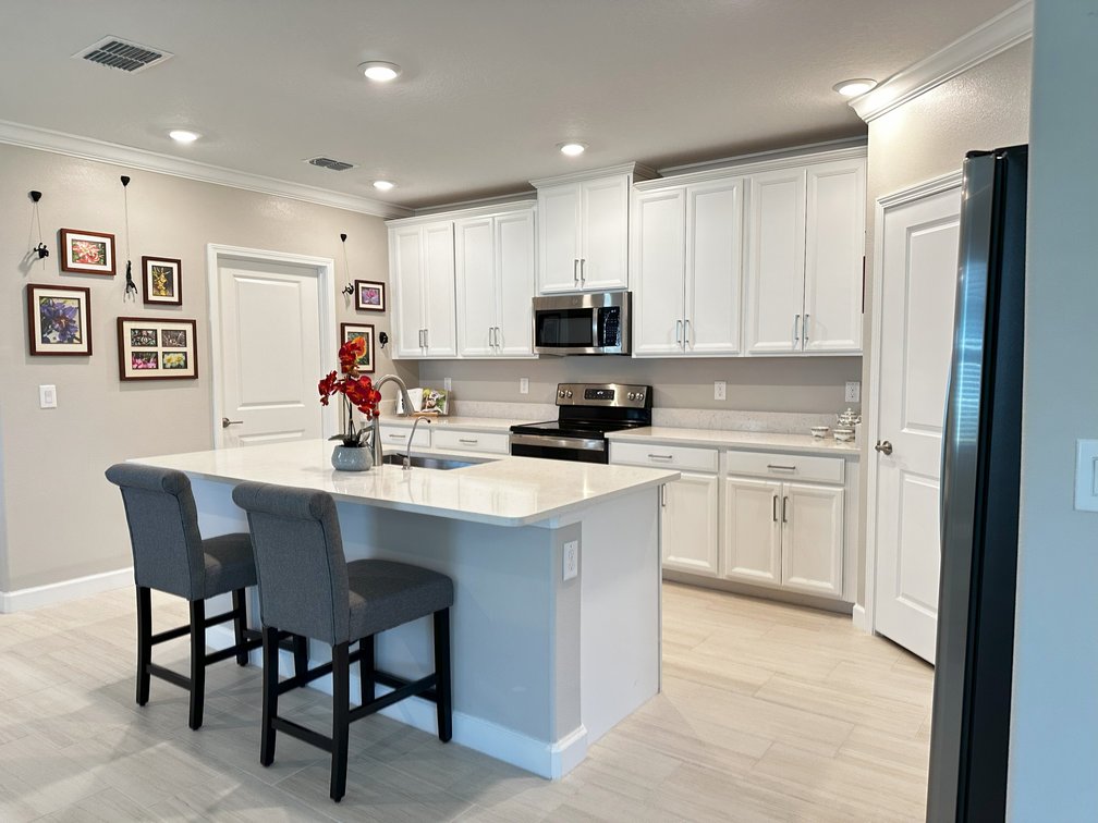 Image for 16683 SHELL BAY DR, LAND O LAKES, FL 34638