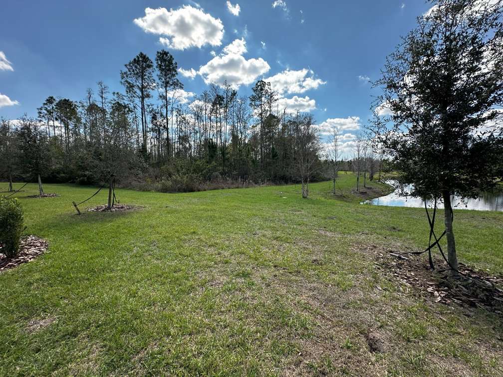 Image for 16683 SHELL BAY DR, LAND O LAKES, FL 34638