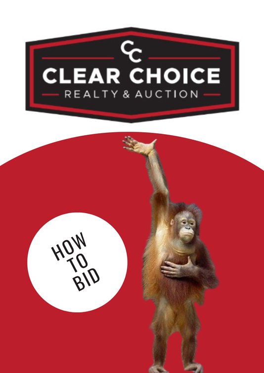 Online Bidding & How it Works