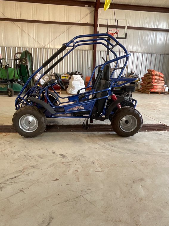 TrailMaster Go Kart