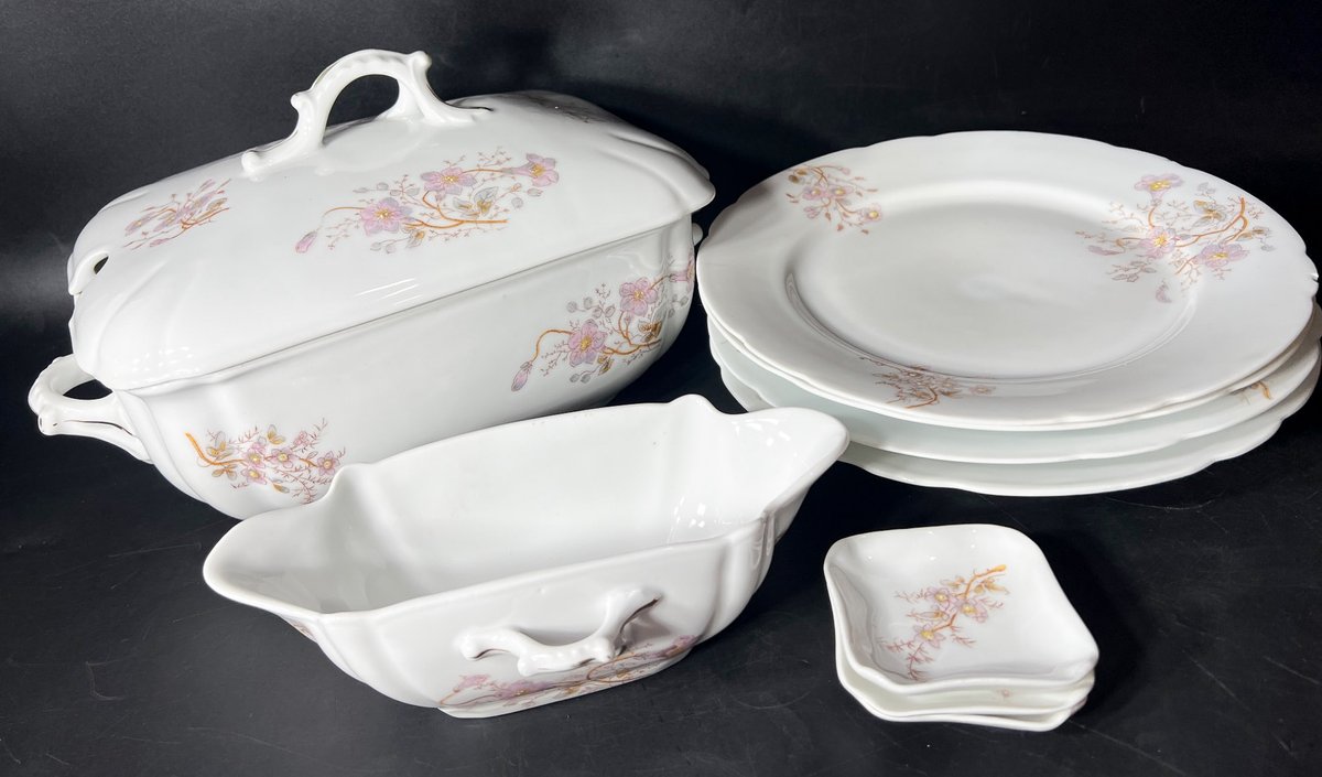 Austria Floral Porcelain Serving Set with Plates, Tureen, and Dishes