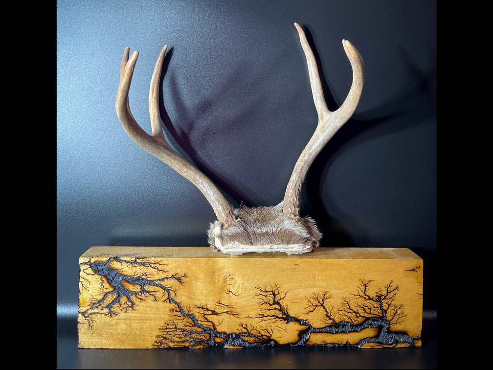 Fractal Wood Burned Base with Mounted Deer Antlers