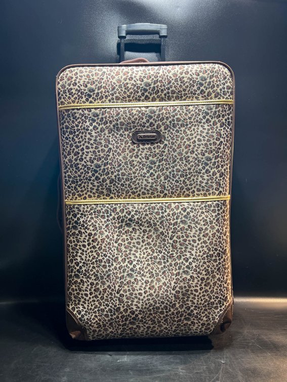 Bristar 2-Piece Luggage Set with Leopard Print and Telescoping Handles