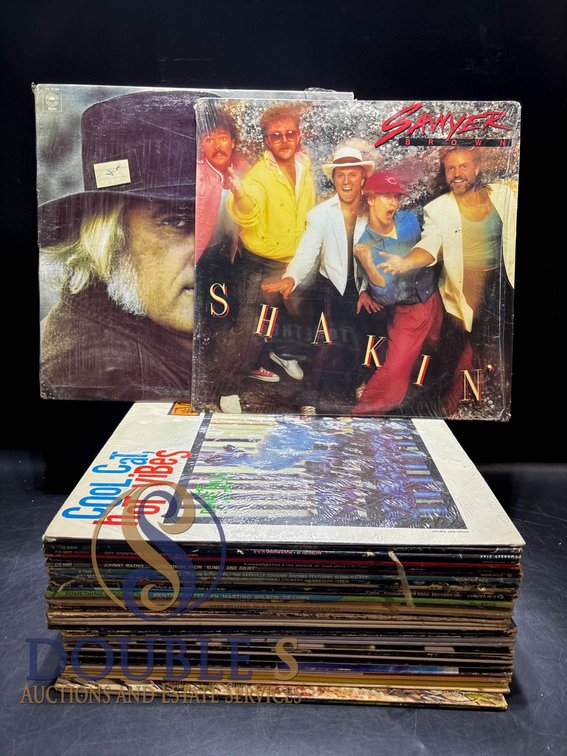 Vinyl Records Featuring Various Artists and Genres