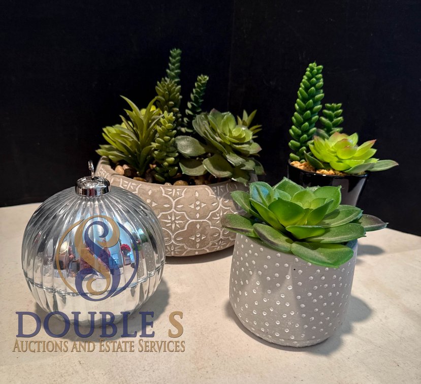 Artificial Succulent Arrangements in Decorative Pots and Silver Ornament