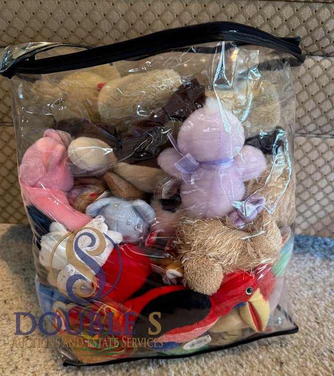 Beanie Babies in Transparent Storage Bag