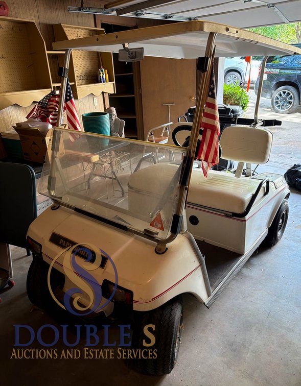 Electric Golf Cart