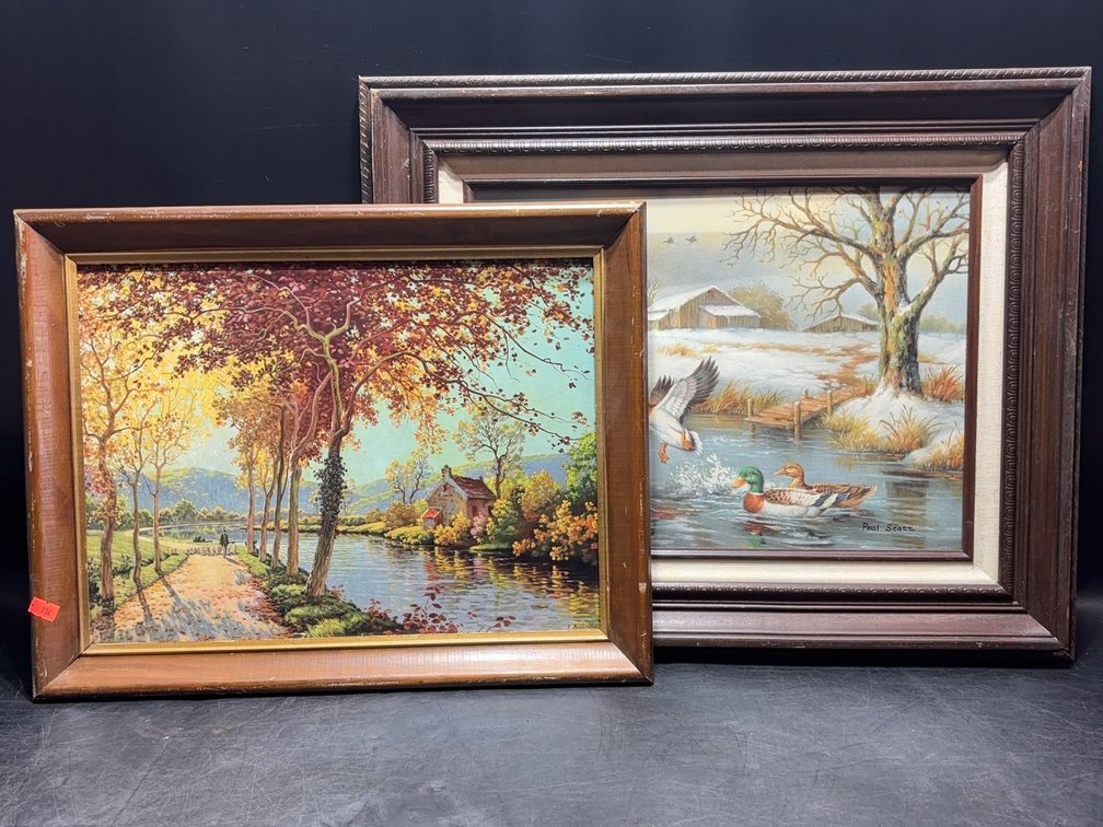 Framed Landscape and Wildlife Prints