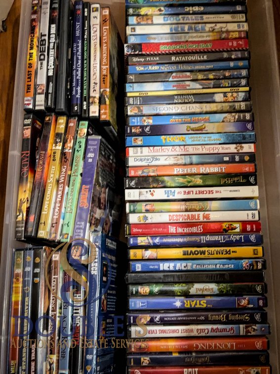 DVDs: Animated, Family, Adult Drama