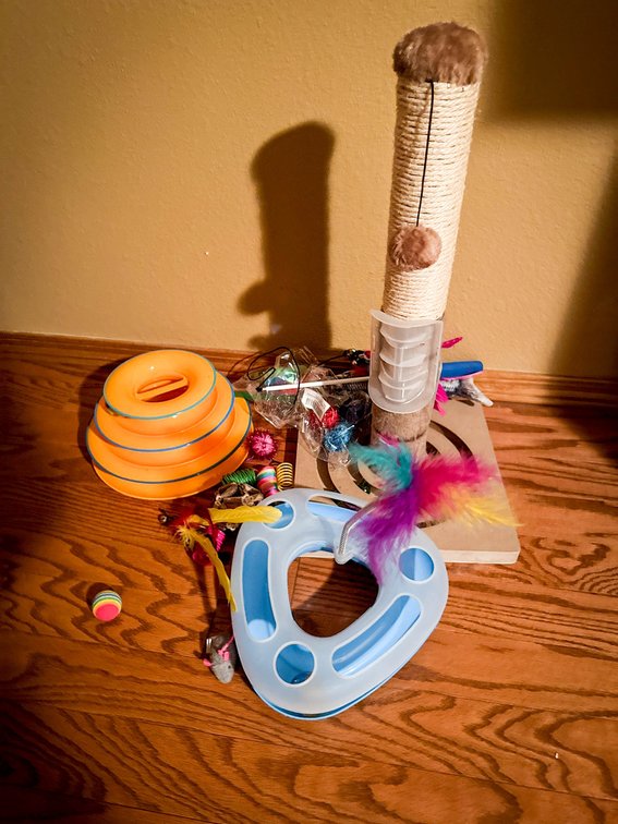 Cat Toys and Scratching Post