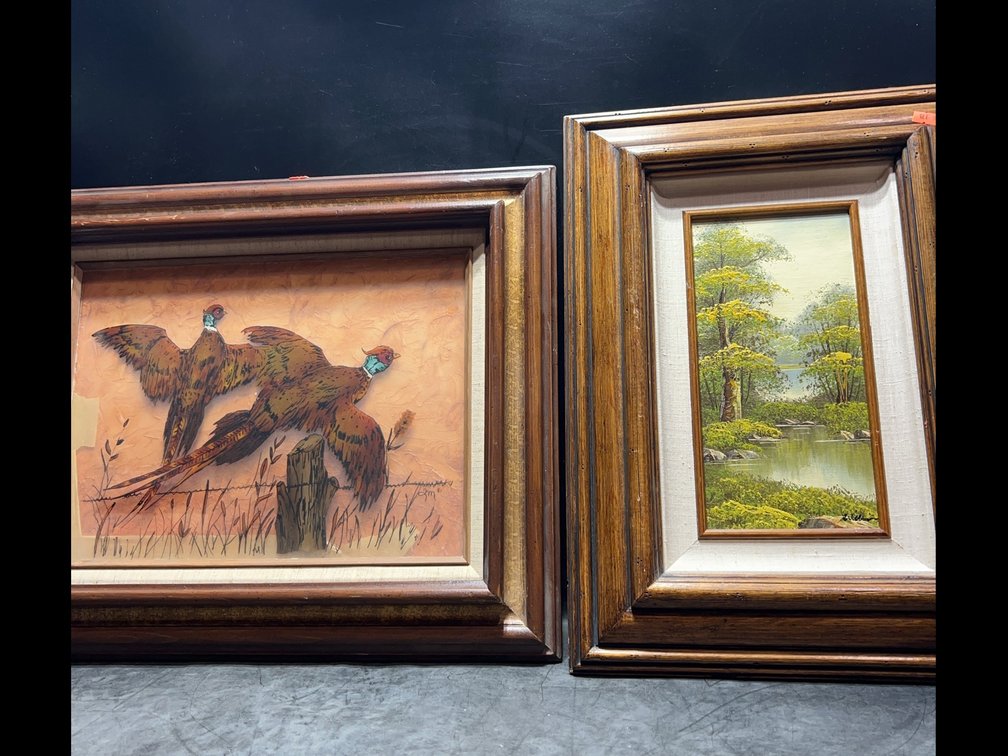 Framed Bird and Landscape Paintings