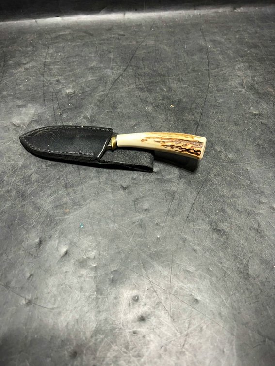 Kelgin Damascus Biker Knife With Stag Handle