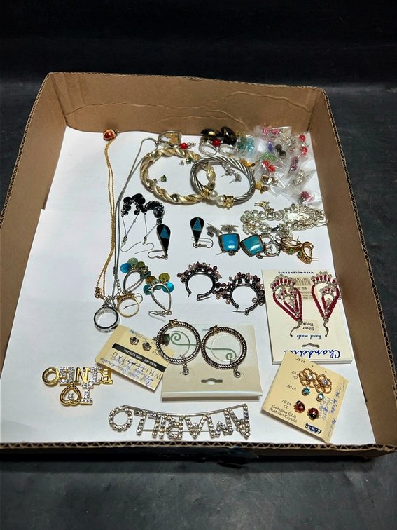 Fashion Jewelry Lot With Earrings Pins