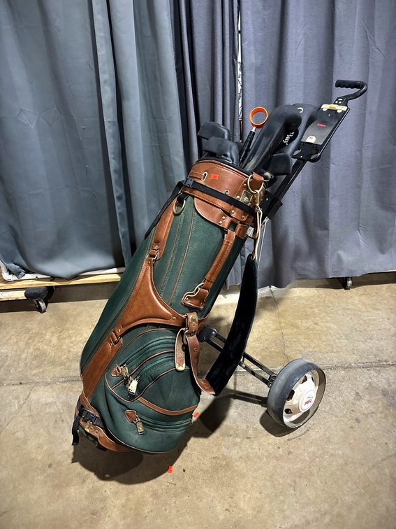 Golf Bag With Knight, Wilson, Castle Bay Clubs