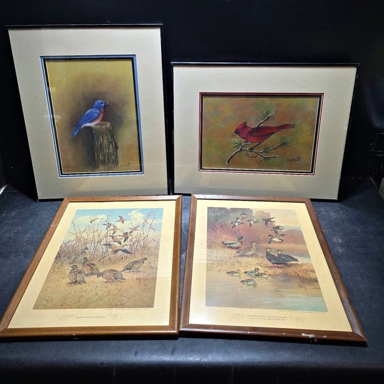 4 Framed Bird Prints and Paintings