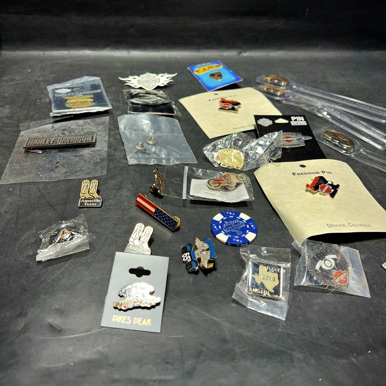 Harley-Davidson Pin & Collectible Lot