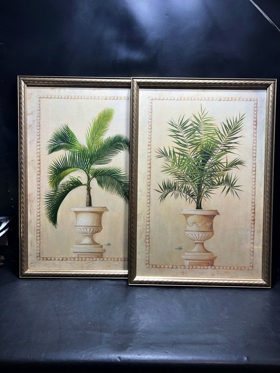 Pair Framed Palm Botanical Prints 24x32 Inch