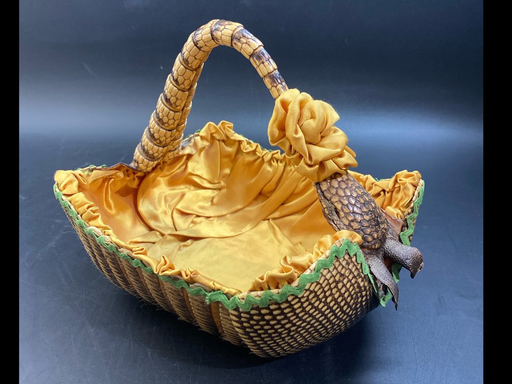 Taxidermy Armadillo Shell Basket 
