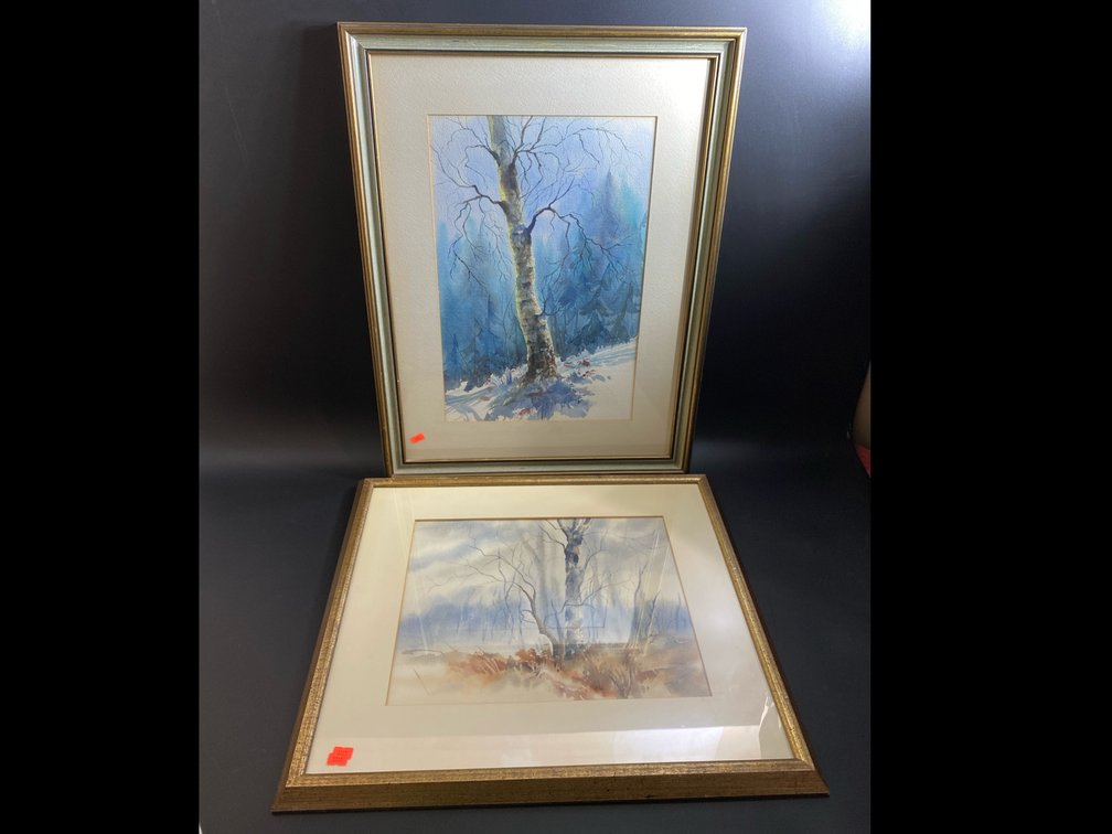 Home decor framed water color art 23”x21” & 27”x21” 