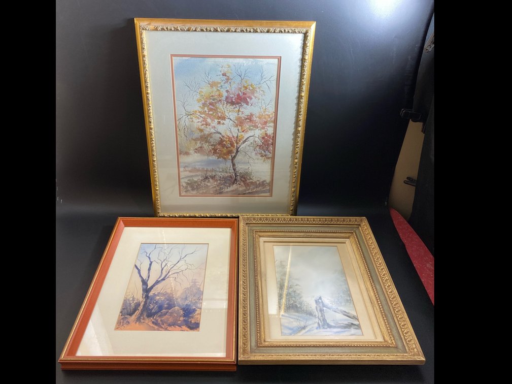 Home decor framed water color art, 26”x20”, 16”x20”, & 20”x17”