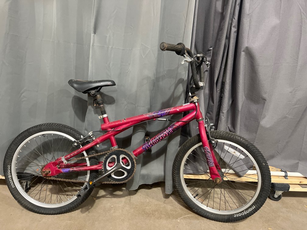 Youth Mongoose Bike 20” wheels