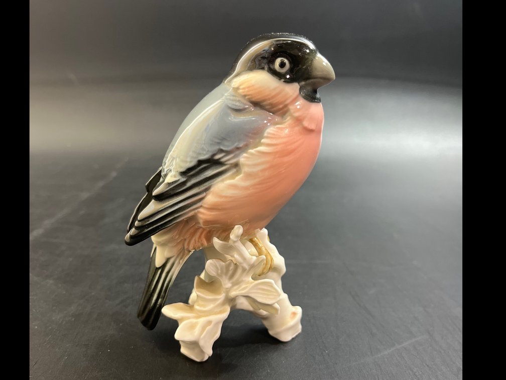 Karl Ens Porcelain Bullfinch Figurine  