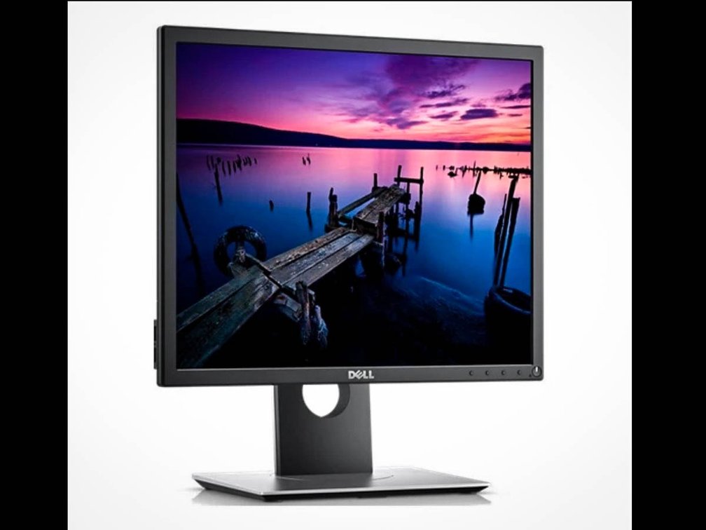 Dell monitor P1917S