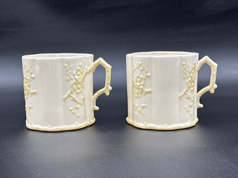 2- Belleek (Ireland) White & Yellow Thorn Porcelain Coffee Cup