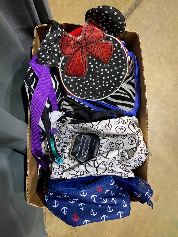 Assorted Bags and Accessories Lot