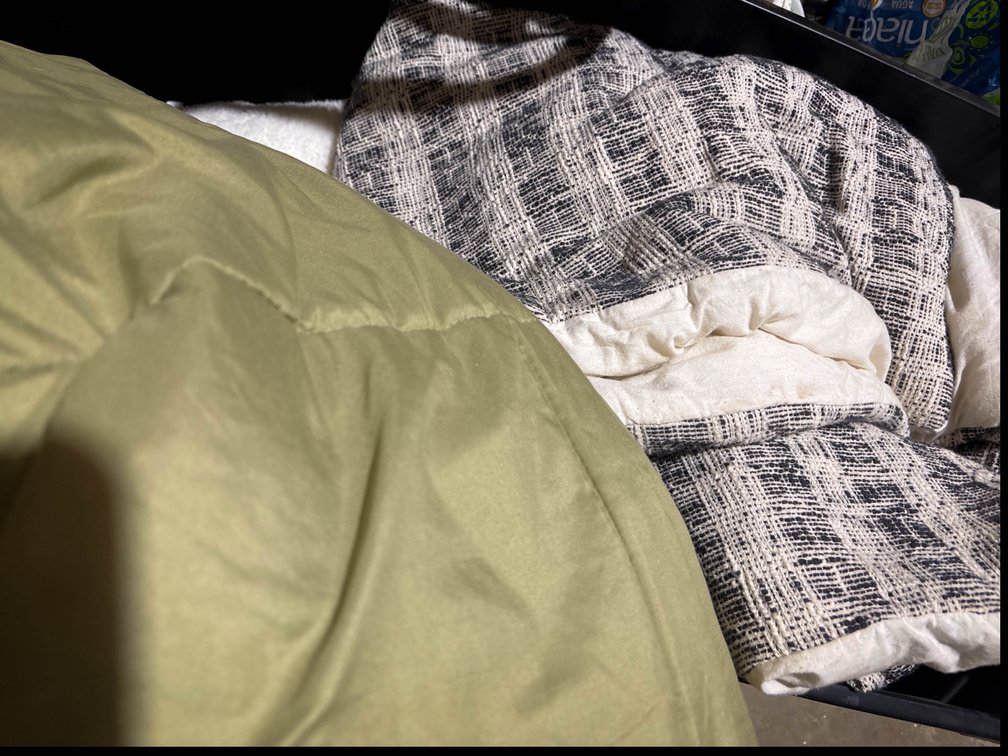 2 Queen Sized Comforters, and Throw Pillows 