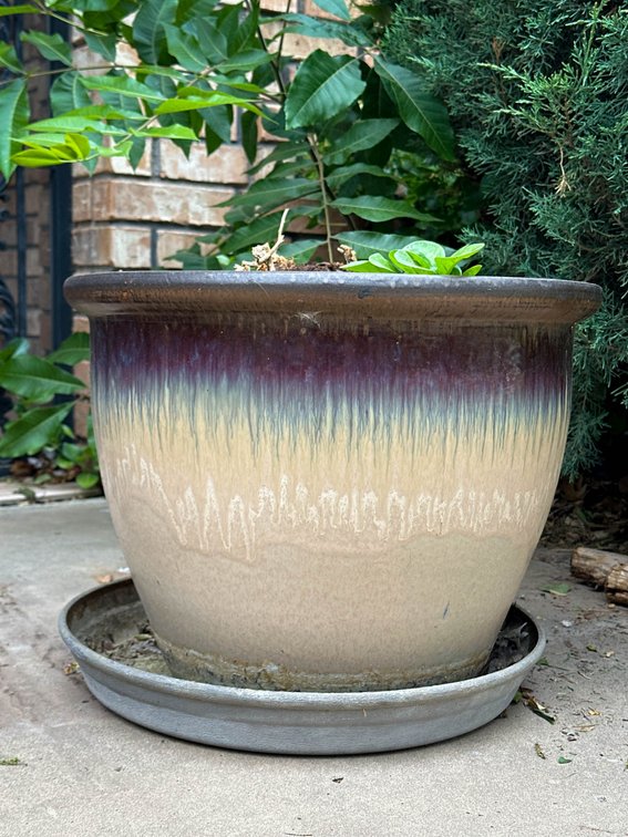 15×19 Inch Glazed Ceramic Pot With Attached Saucer