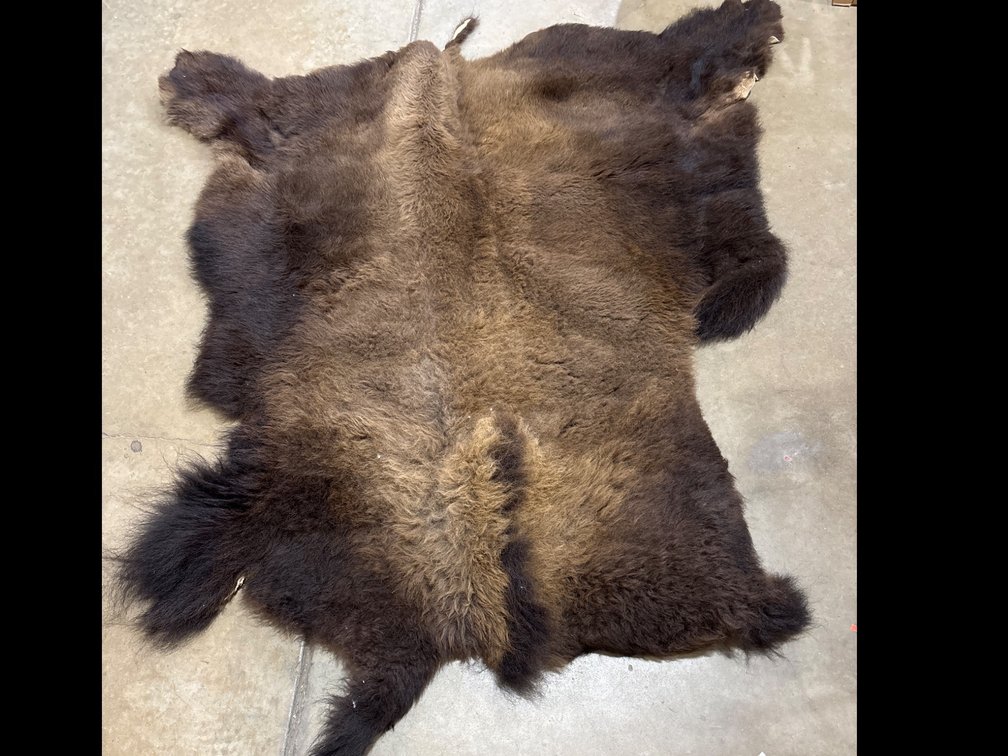Bison Hide Rug, 80" x 70"