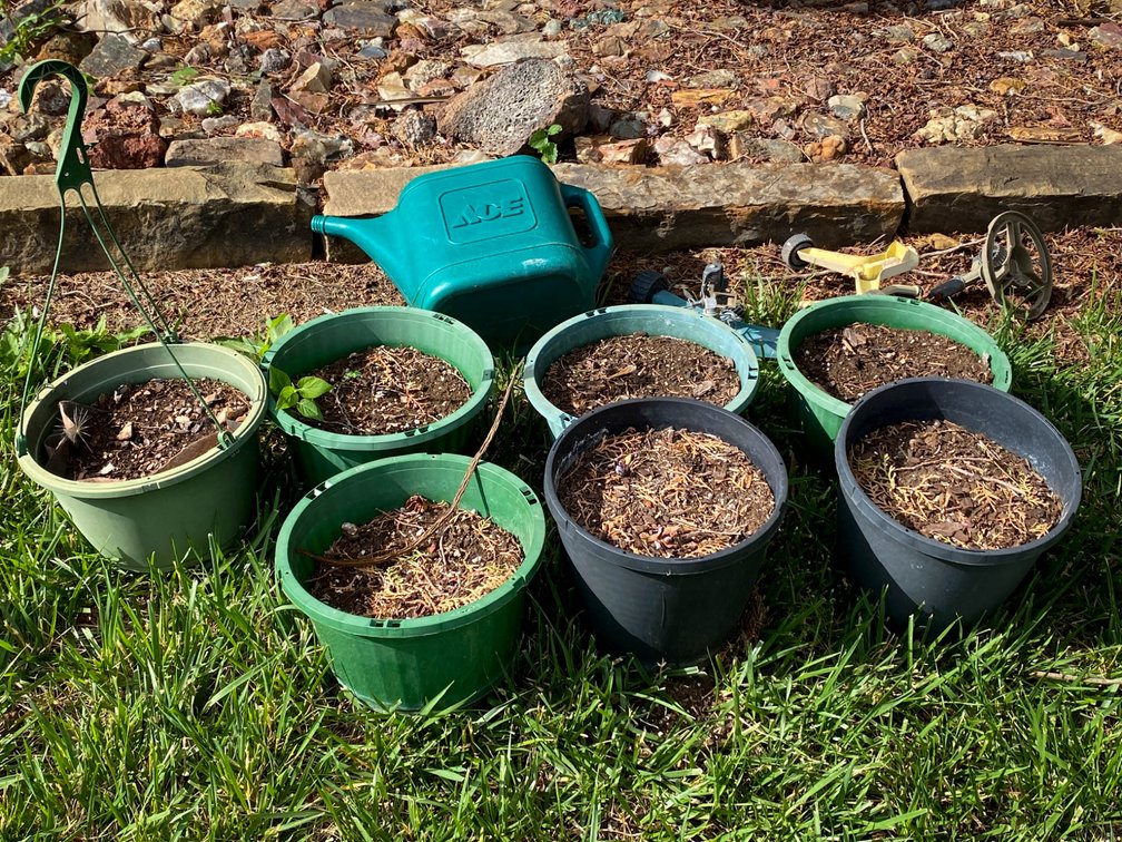 Seven Plastic Plant Pots With Watering Can and Garden Accessories