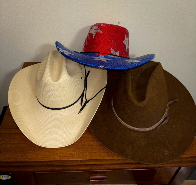 Three Western-Style Hats in Various Materials and Designs