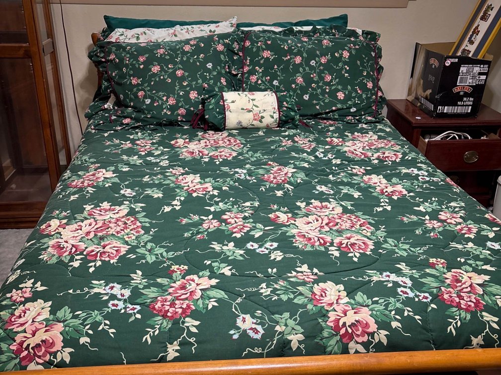Floral Reversible Comforter Set with Decorative Pillow