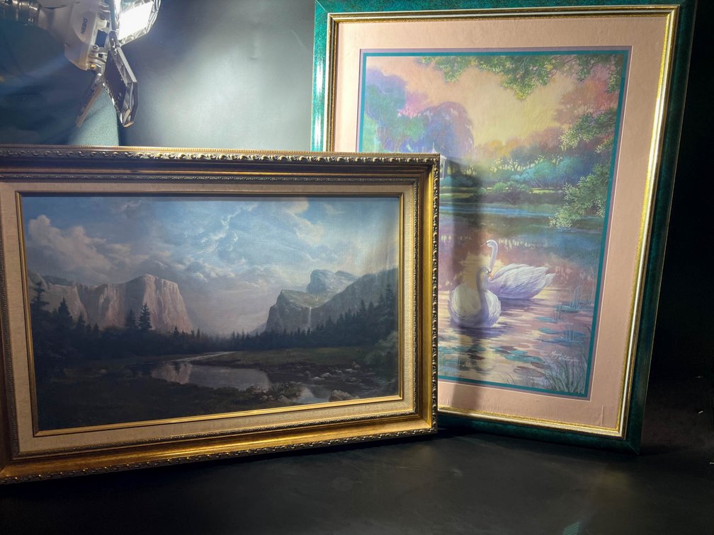 Two Framed Landscape Artworks Depicting Nature Scenes