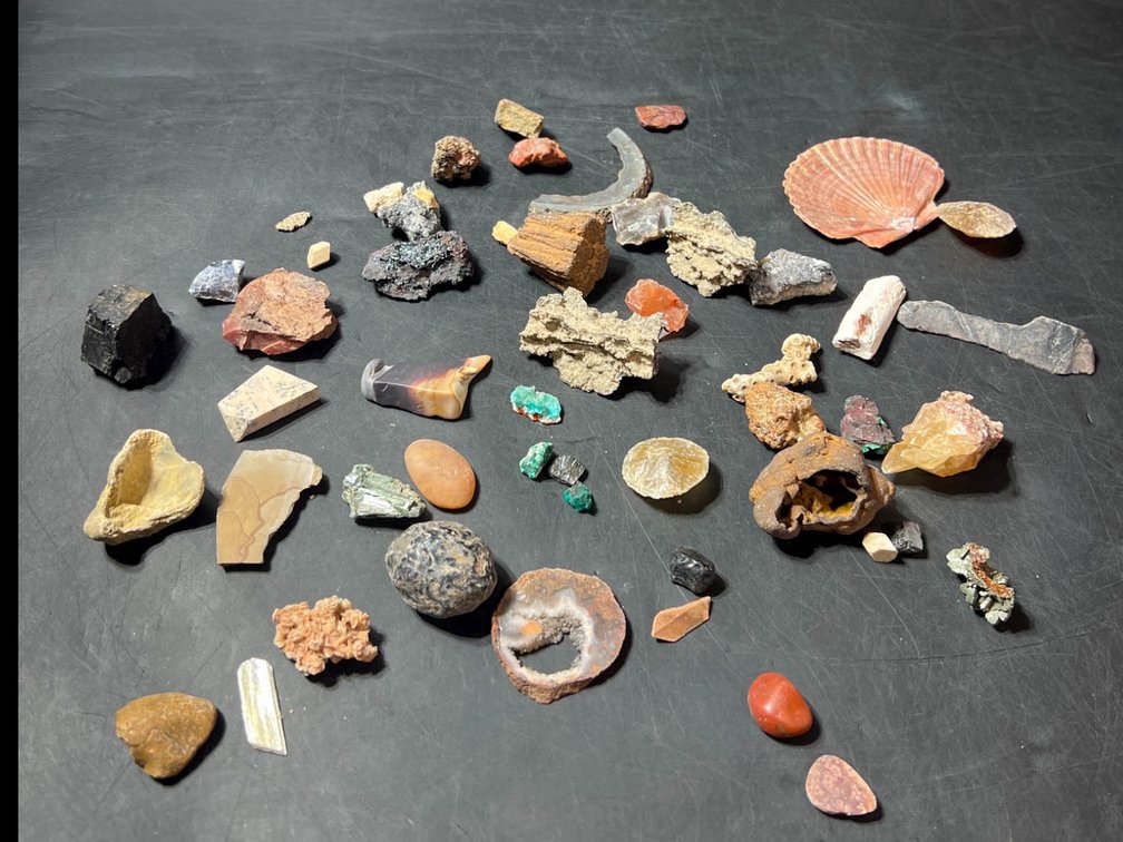 Collection of Minerals, Fossils, and Shell Specimens